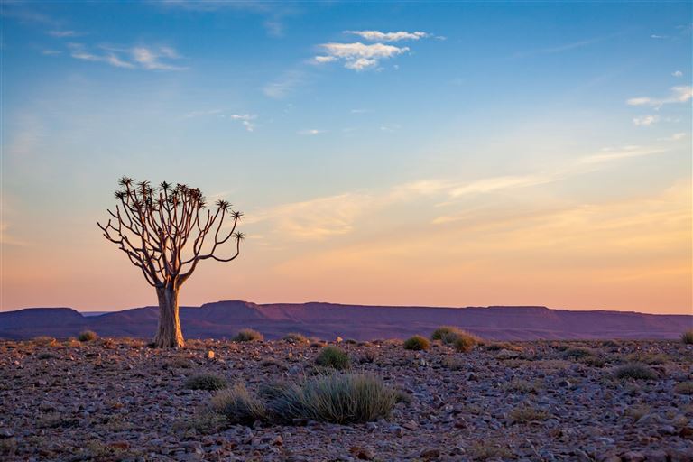 Entdeckungsreise Namibia ©Theo /adobestock